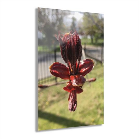 Elegant Acrylic Wall Art Print - Floral Decor, Home Decoration, Unique Gift, Nature Artwork, Modern Design