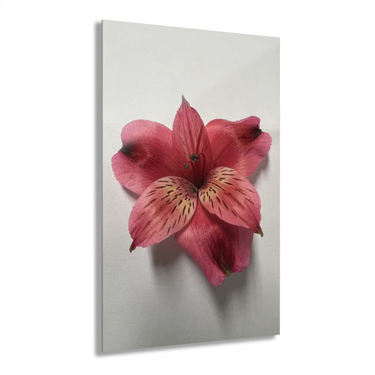 Elegant Floral Acrylic Print with French Cleat, Home Decor, Wall Art, Gift Idea, Nature Lover's Artwork, Modern Decor, Perfect for [...]
